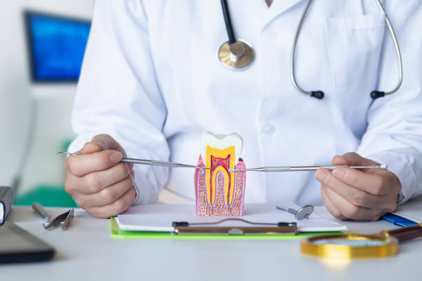 Best Emergency Treatment for Oral Infections in Edgerton, KS